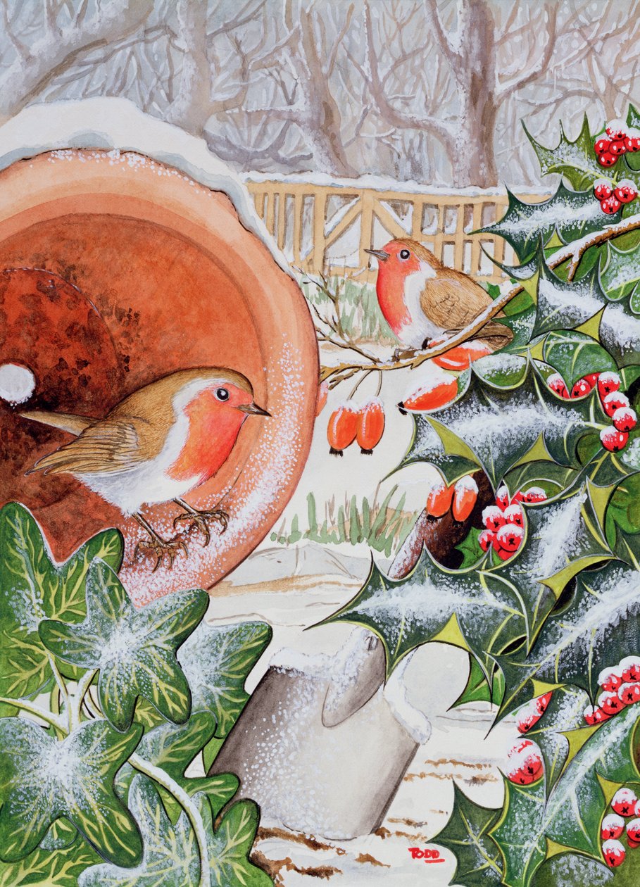 Christmas Robins (wc) alkotó: Tony Todd