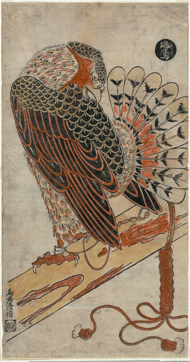 Sparrowhawk (Konori Taka) alkotó: Torii Kiyomasu I