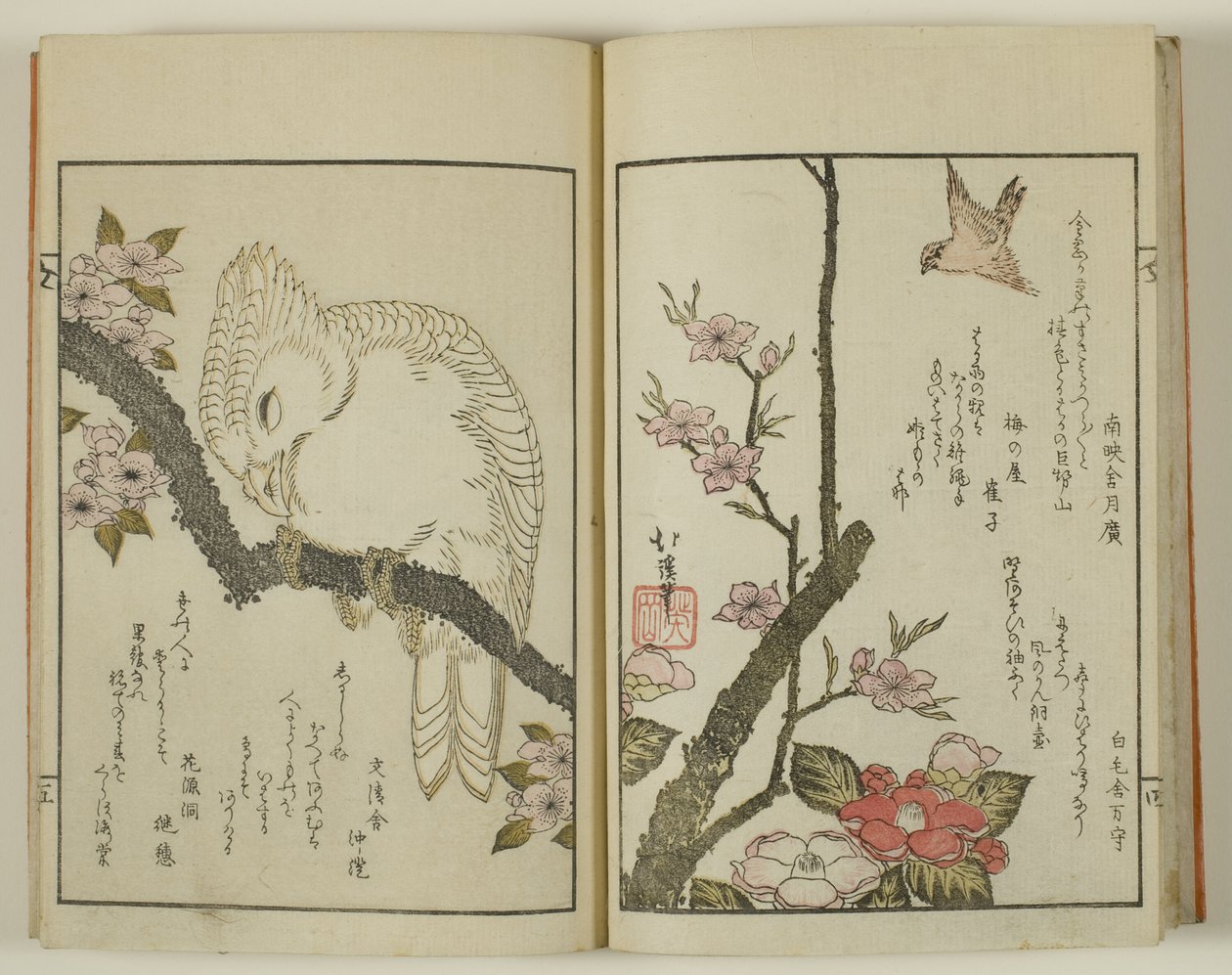 Kyoka hyakucho Kocho alkotó: Totoya Hokkei