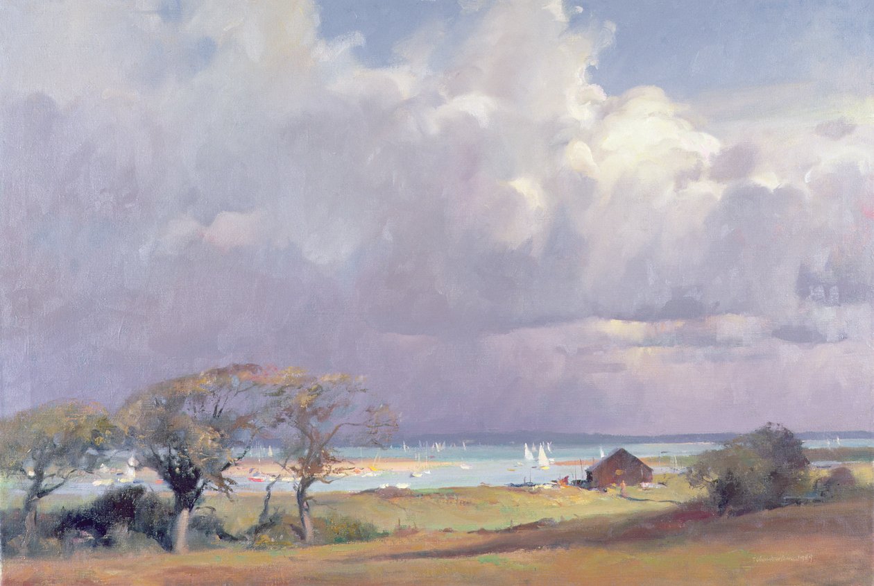 Fenyegető vihar a Solentben, 1989 alkotó: Trevor Chamberlain