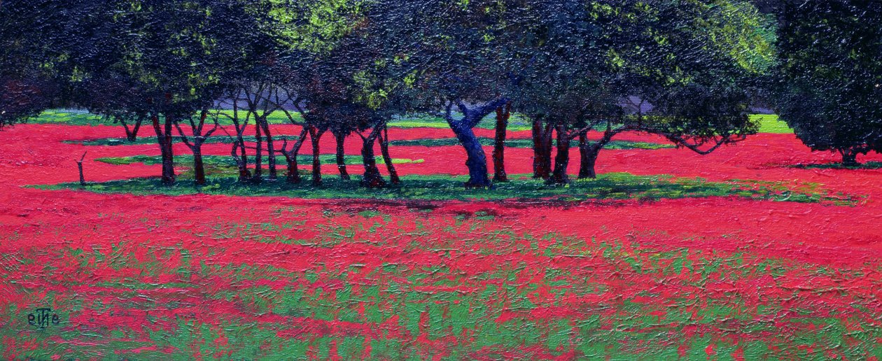 Red Shock, 1999 alkotó: Trevor Neal