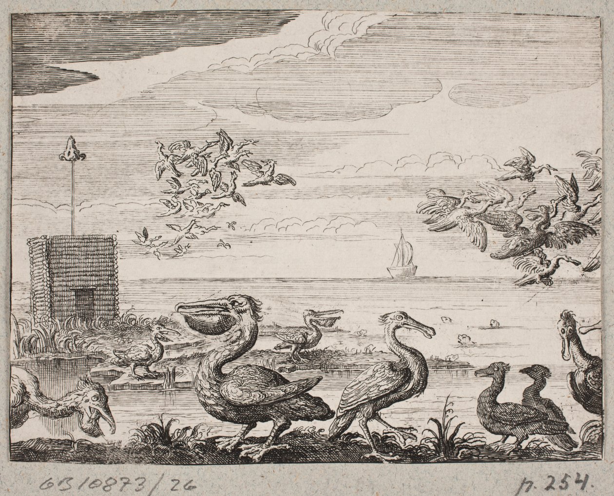 Pelicans alkotó: Ubekendt