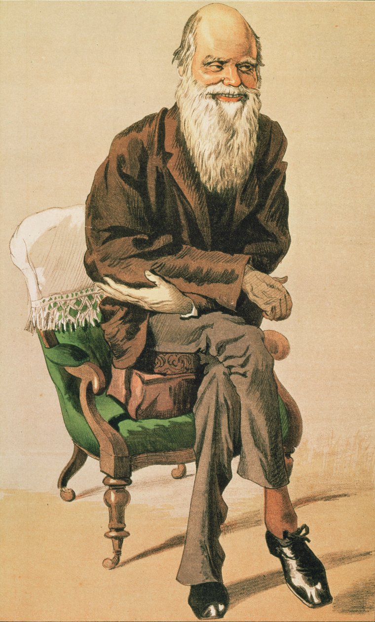 A nap férfiai, nem. 33, Charles Darwin, rajzfilm a Vanity Fairből alkotó: Unbekannt Unbekannt