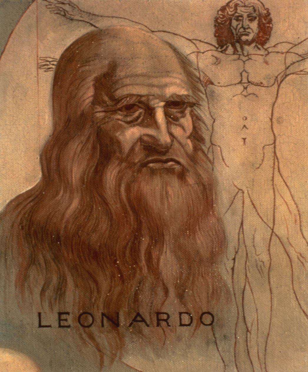 Leonardo da Vinci portréja "Vitruvius Man"-jával alkotó: Unbekannt Unbekannt
