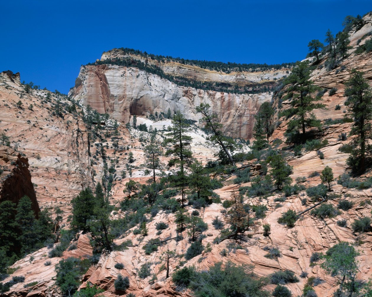 Zion Nemzeti Park, Utah alkotó: Unbekannt Unbekannt