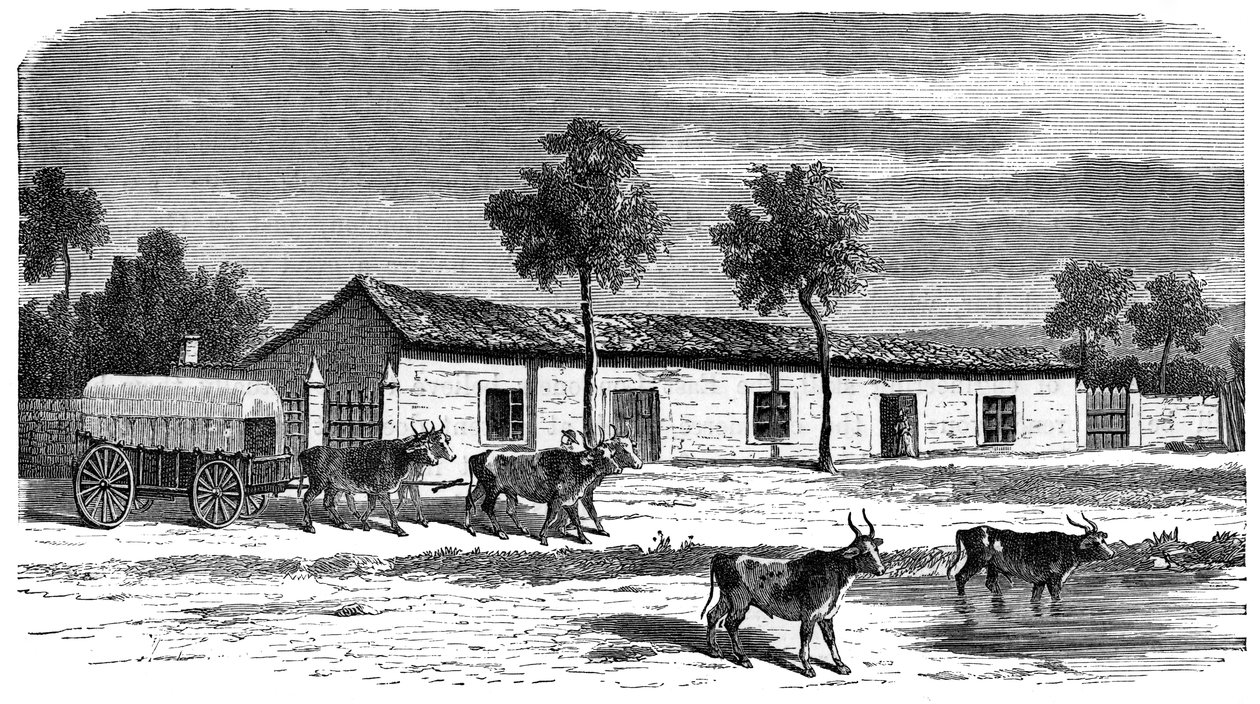 Egy búr farm, Dél-Afrika, 1890 alkotó: Unbekannt