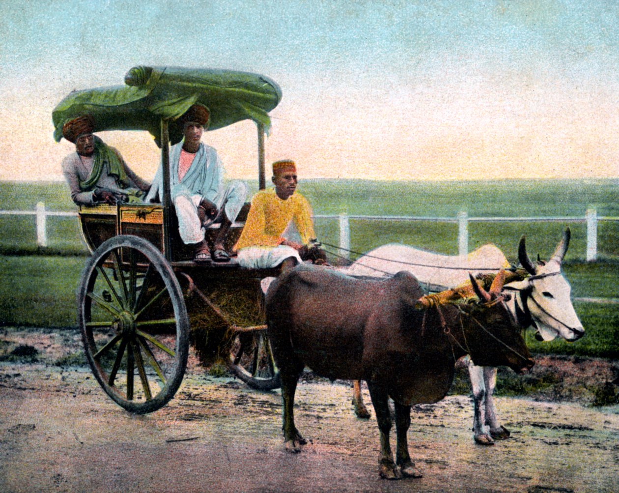 Bombay reckla, India, 20. század eleje alkotó: Unbekannt