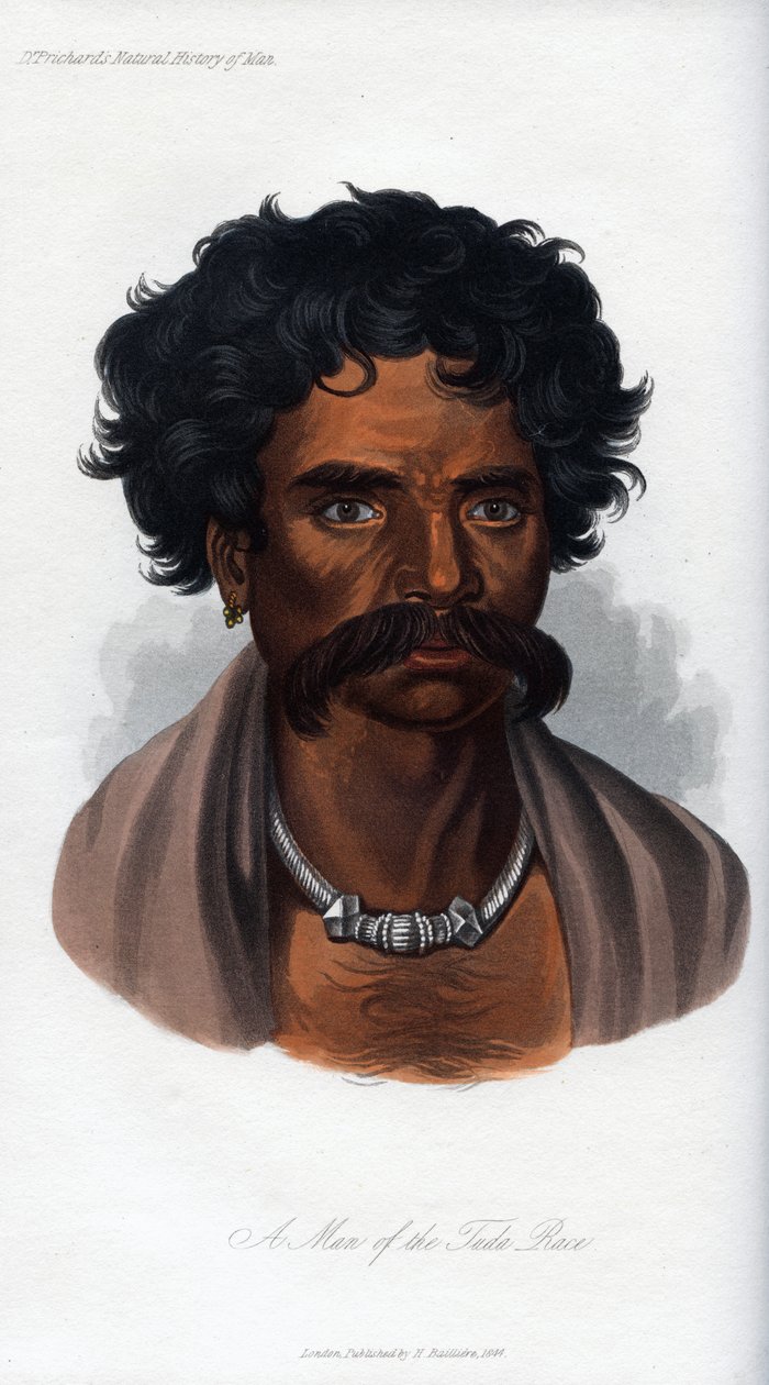 A Tuda faj embere, 1848 alkotó: Unbekannt