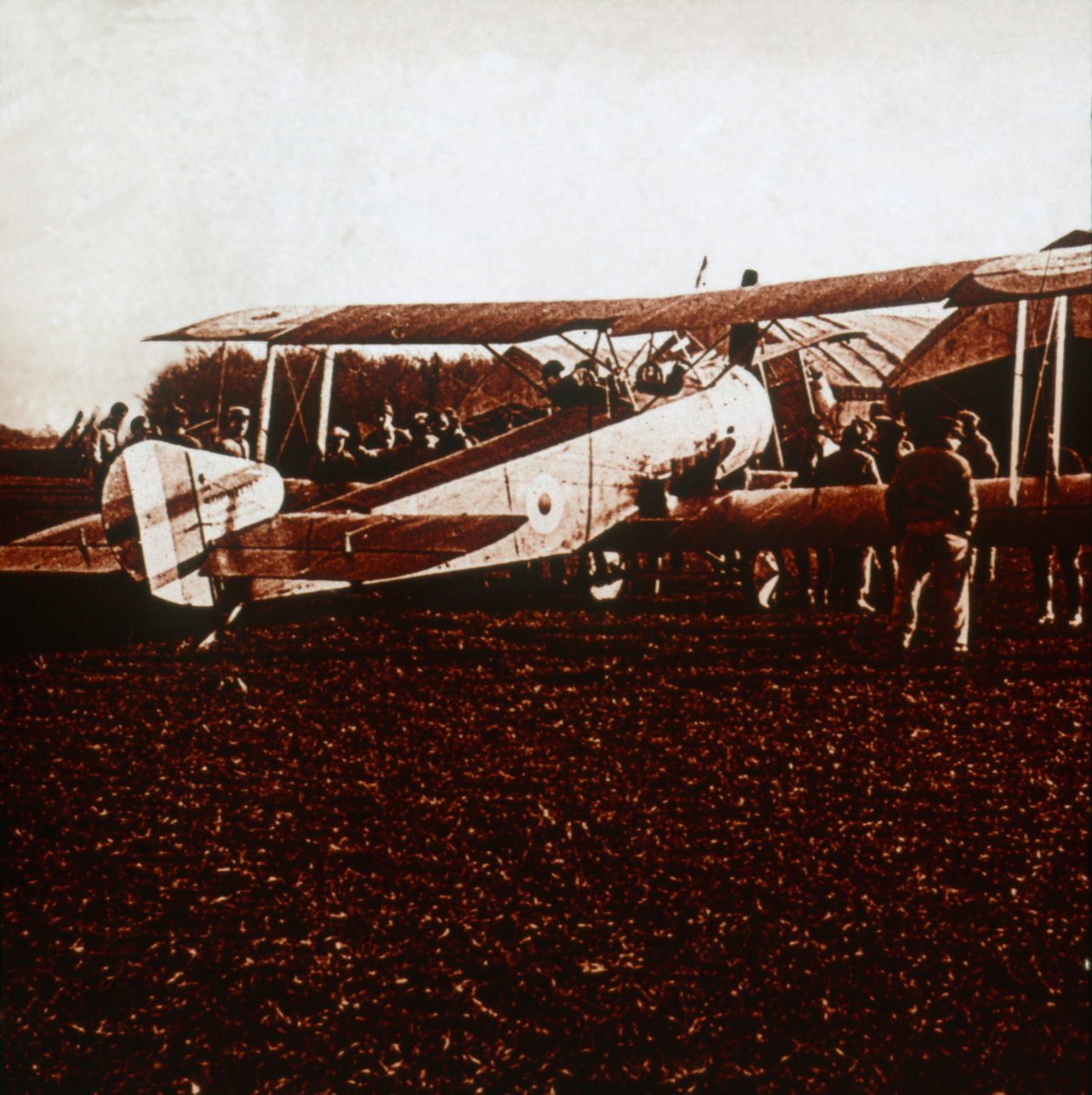 A Sopwith Camel, c1917-c1918 alkotó: Unbekannt