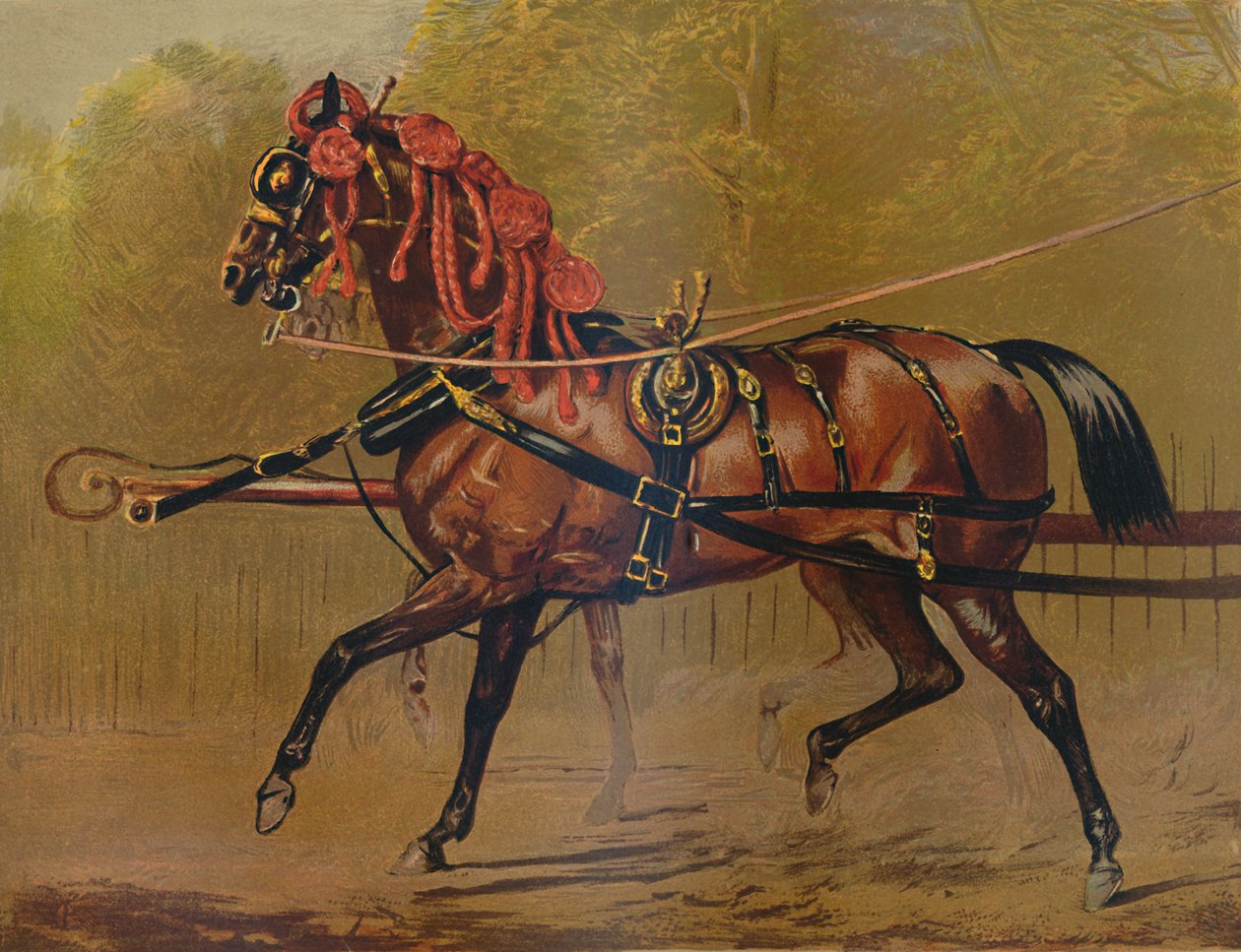 Állami hintóló, c1879. alkotó: Unbekannt