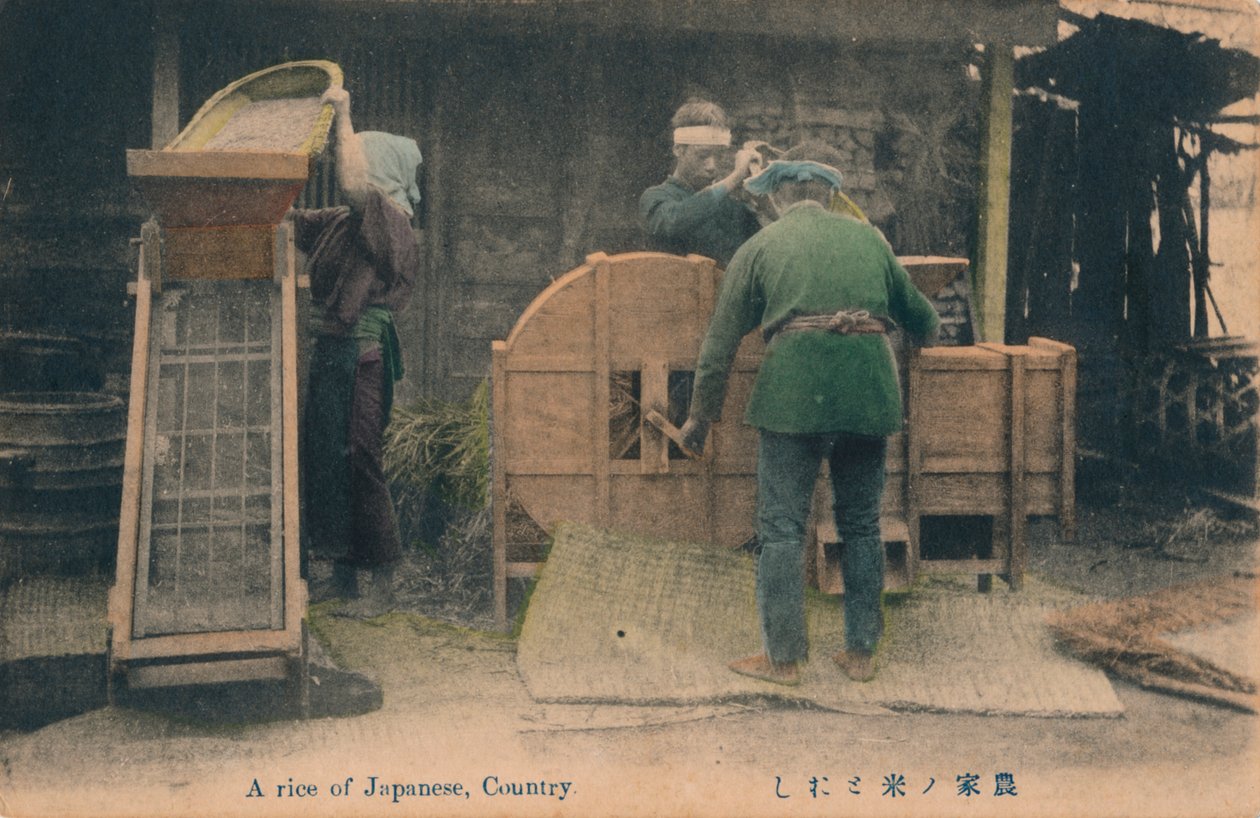 Egy japán rizs, ország, 1910. alkotó: Unbekannt