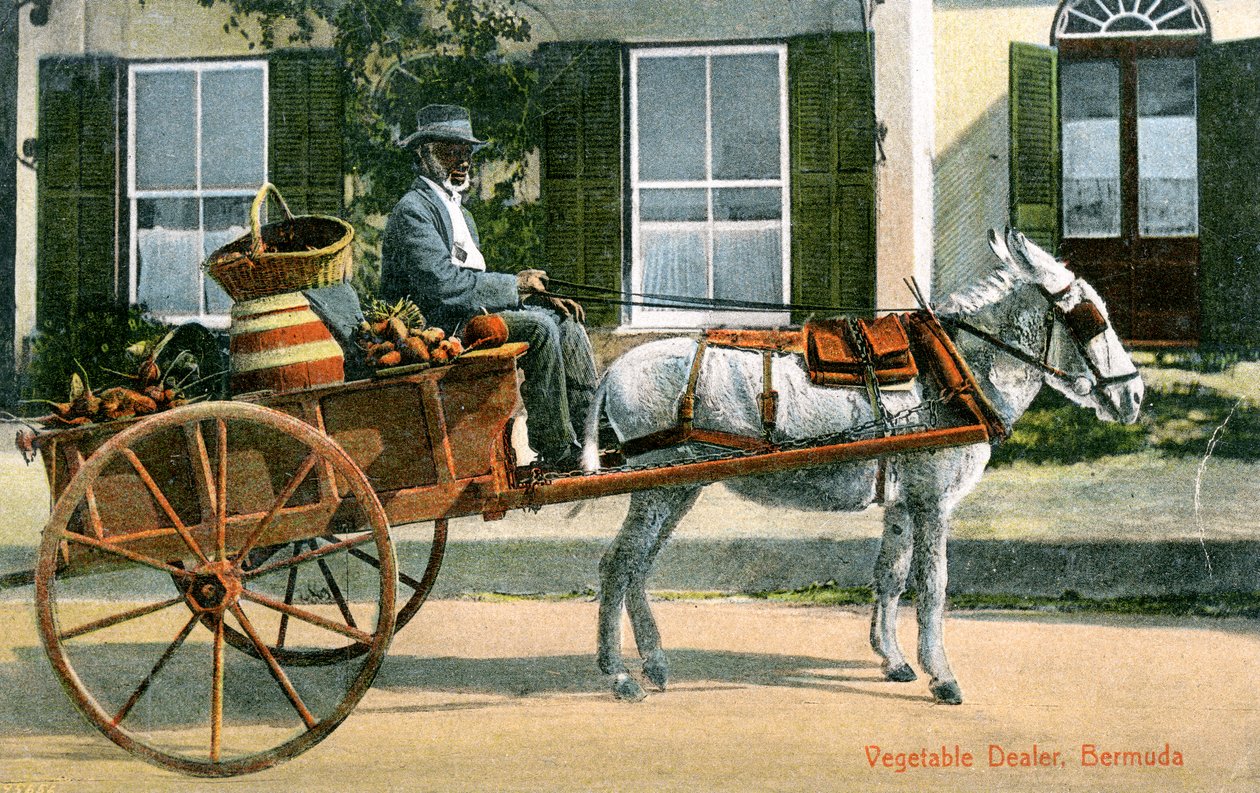Zöldségkereskedő, Bermuda, 1900-as évek alkotó: Unbekannt