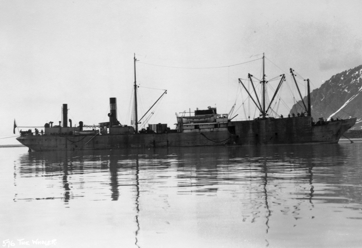 Egy bálnavadász, Magdalene Bay, Spitzbergák, Norvégia, 1929 alkotó: Unbekannt
