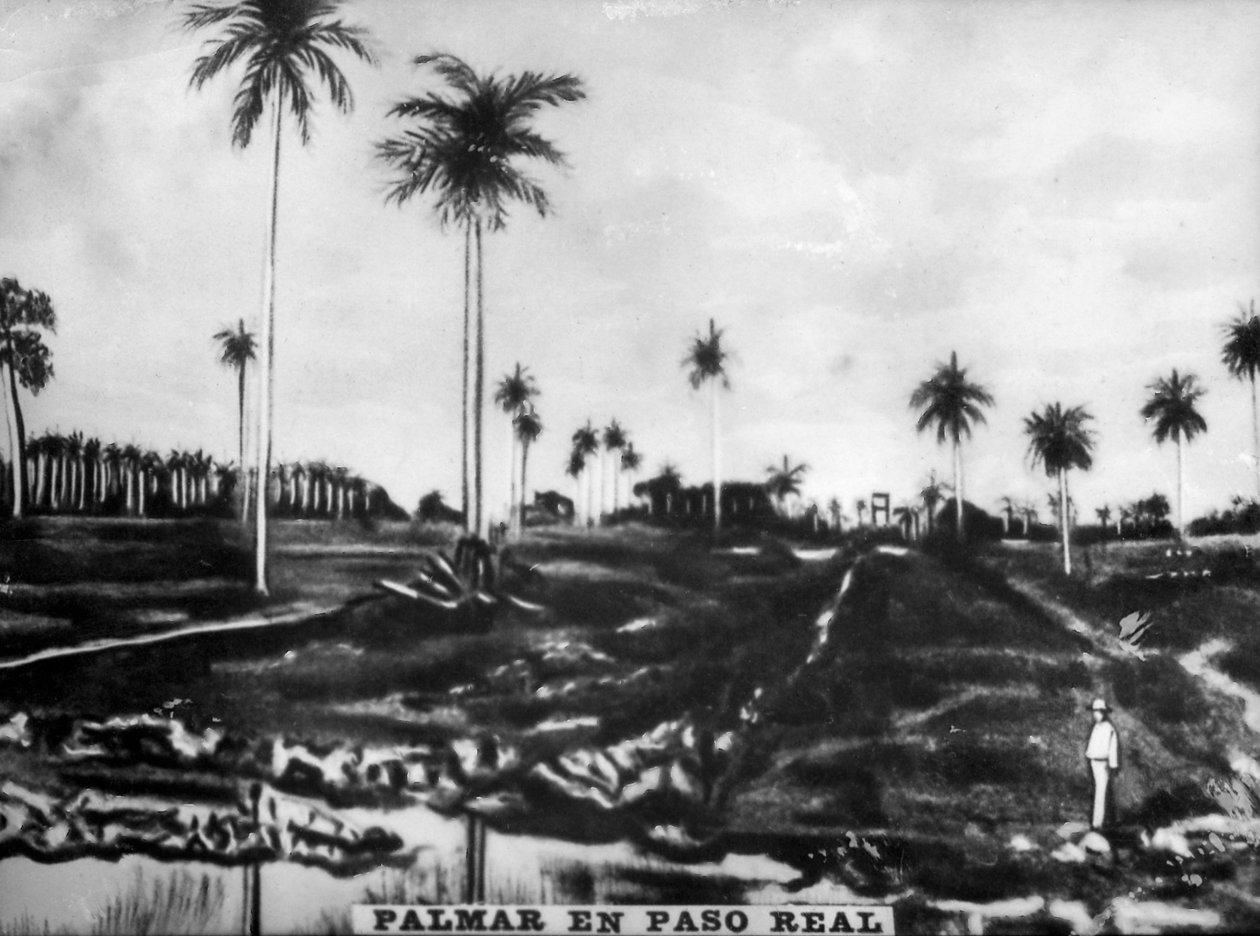 Accion of PasoReal, 1896, 1920-as évek alkotó: Unbekannt