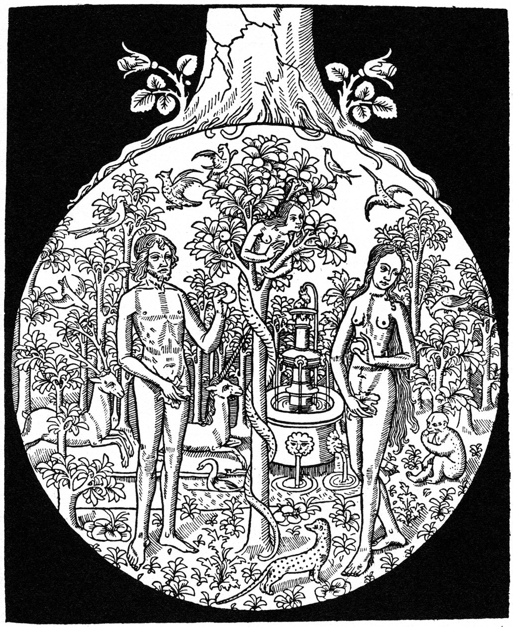 Ádám és Éva, 1505, 1964 alkotó: Unbekannt