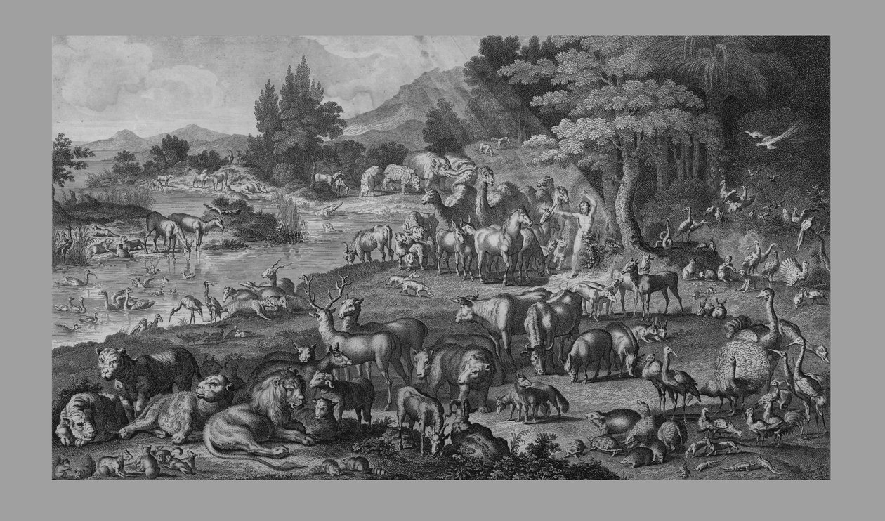 Ádám elnevezte a teremtést, 1818. alkotó: Unbekannt