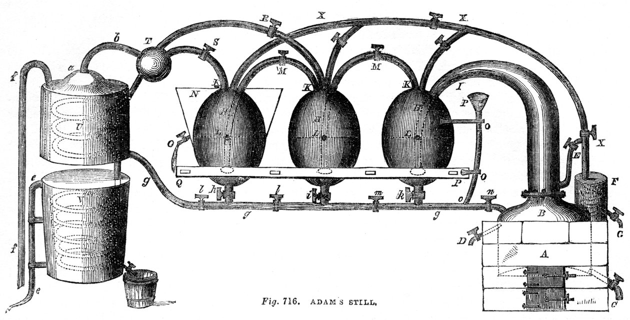Adams Still, 1886 alkotó: Unbekannt