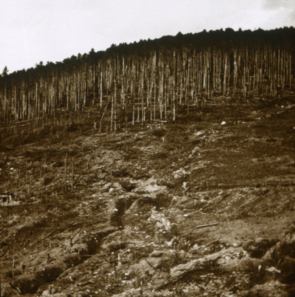 Elzász, c1914-c1918 alkotó: Unbekannt