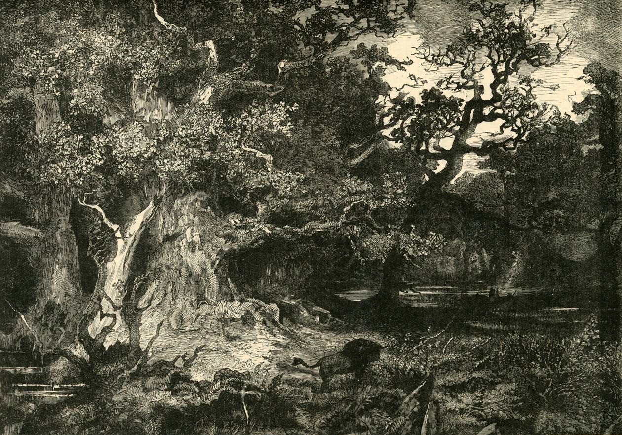Egy régi német erdő, 1890. alkotó: Unbekannt