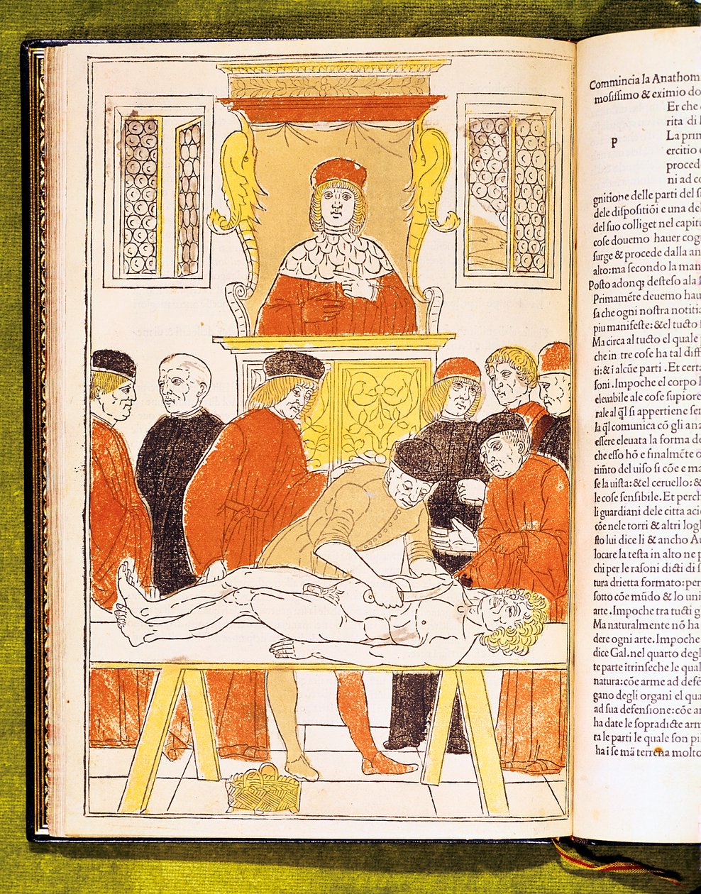 Anatómiai előadás Padovában, Olaszországban, 1483 alkotó: Unbekannt