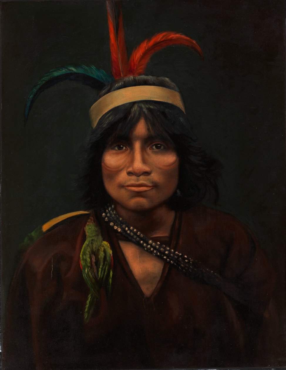 Anisha indián, kb. 1890-1892. alkotó: Unbekannt