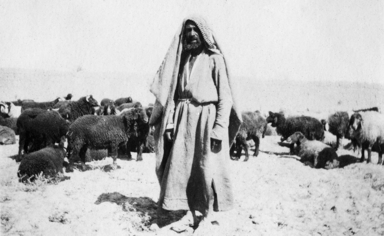Arab juhász, Kazimain környéke, Irak, 1917-1919 alkotó: Unbekannt