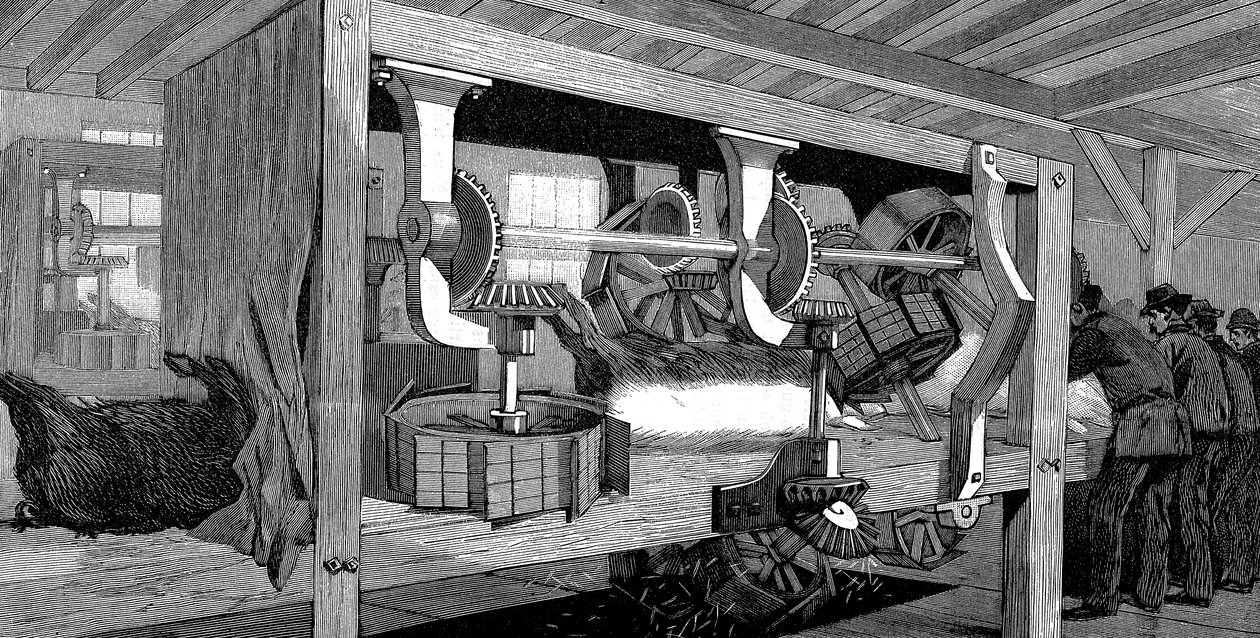 Armor Companys sertésvágóhíd, Chicago, Illinois, USA, 1892 alkotó: Unbekannt