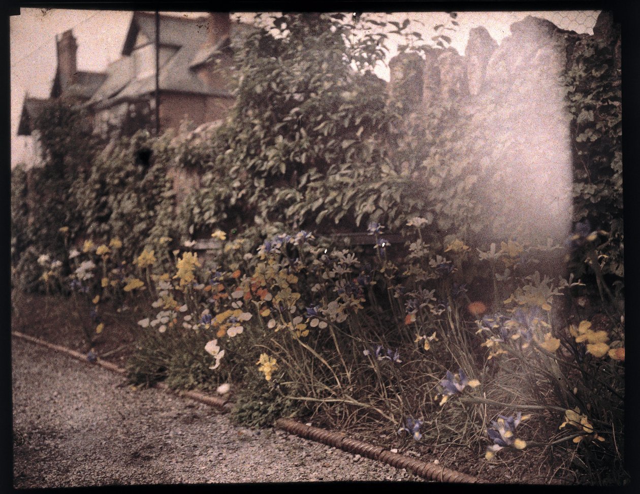 Virágok autokrómja, c 1908 alkotó: Unbekannt