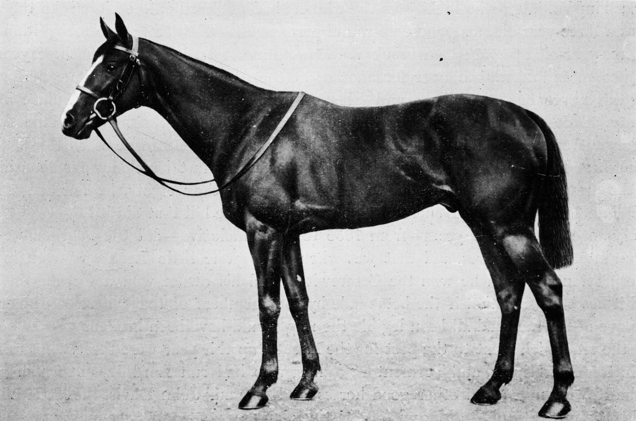 Bachelors Double, 1911 alkotó: Unbekannt