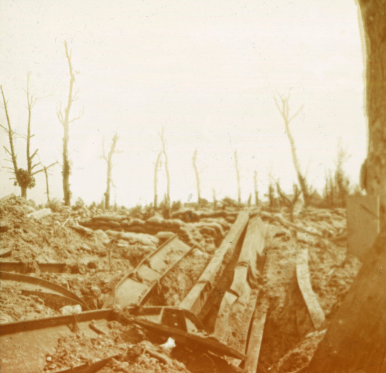 Az Yser folyó partja, Diksmuide, Belgium, c1914-c1918 alkotó: Unbekannt