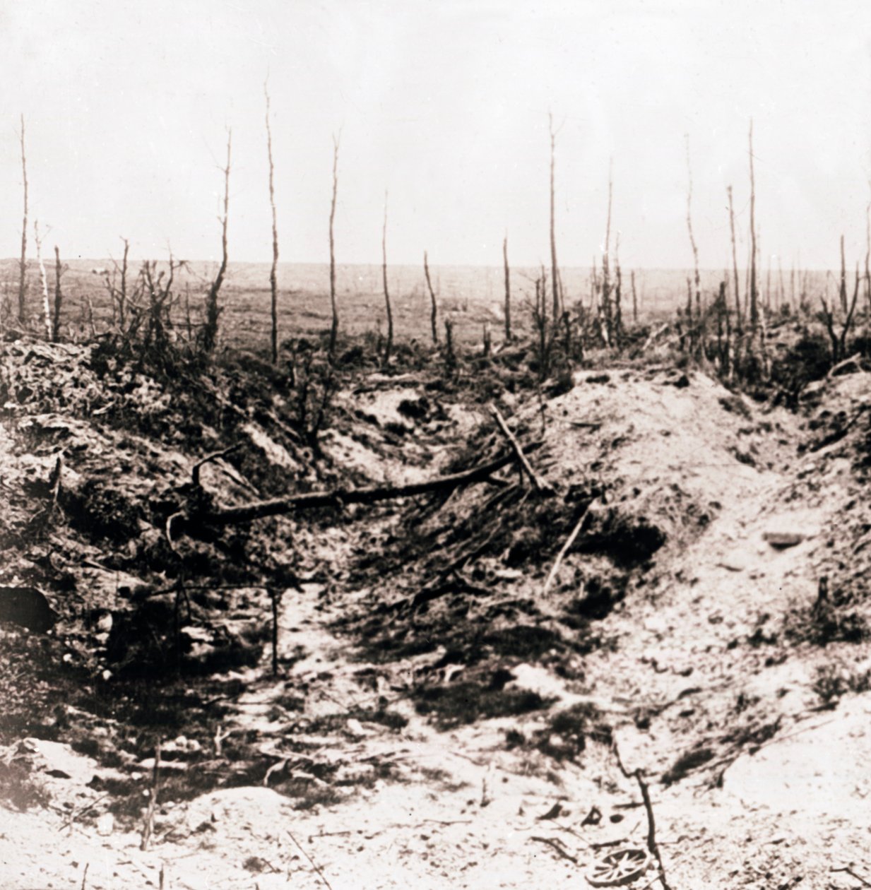 Battlefield, c1914-c1918 alkotó: Unbekannt