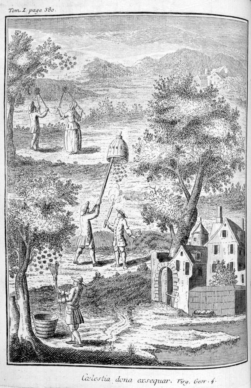 Méhészet, 1775 alkotó: Unbekannt