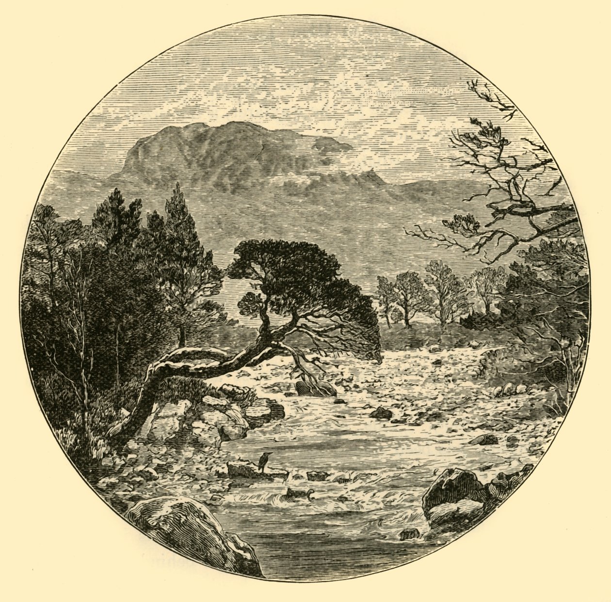 Ben Slioch, 1898. alkotó: Unbekannt