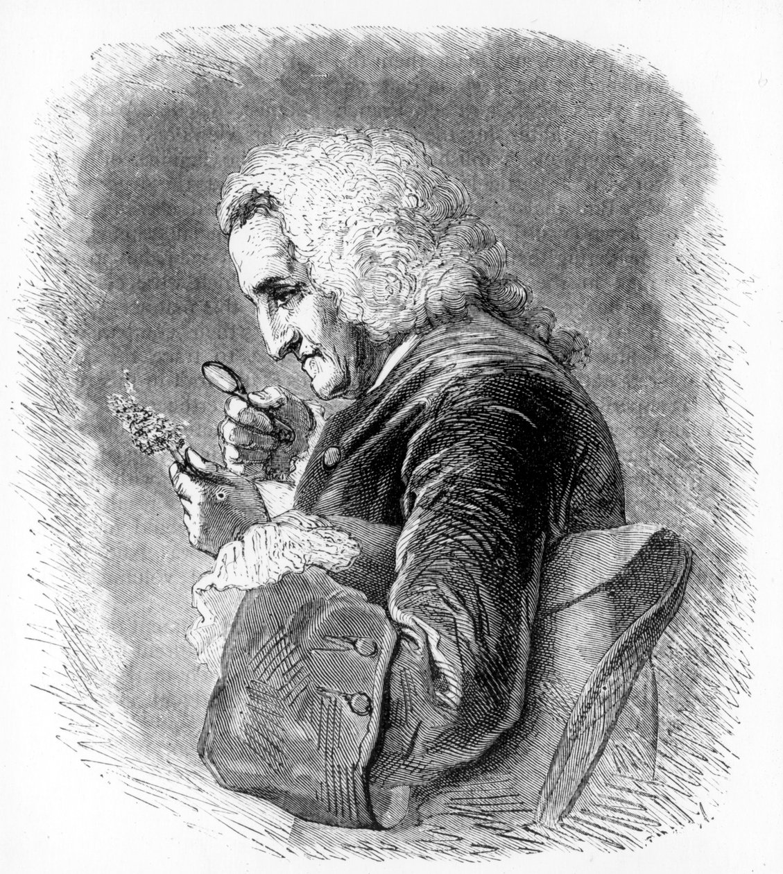 Bernard de Jussieu, 18. századi francia botanikus, 1880 alkotó: Unbekannt