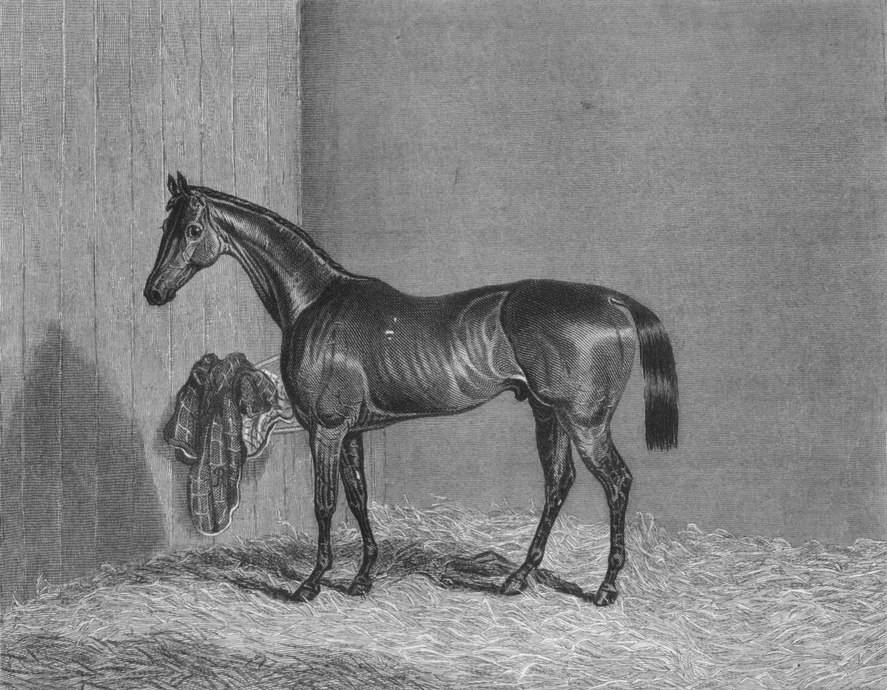 Bloomsbury, 1836-1861, 1911 alkotó: Unbekannt