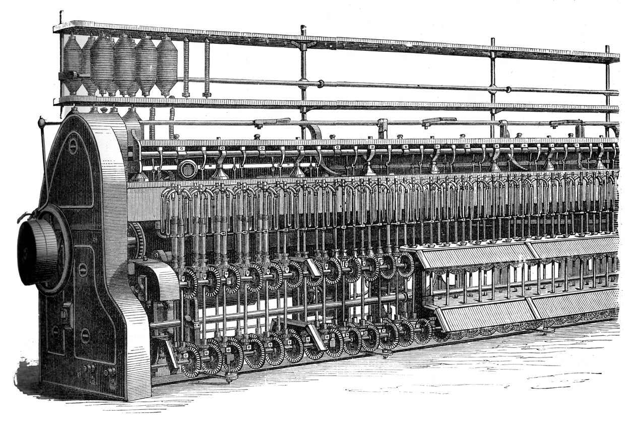 Orsó és légy keret, c1880 alkotó: Unbekannt