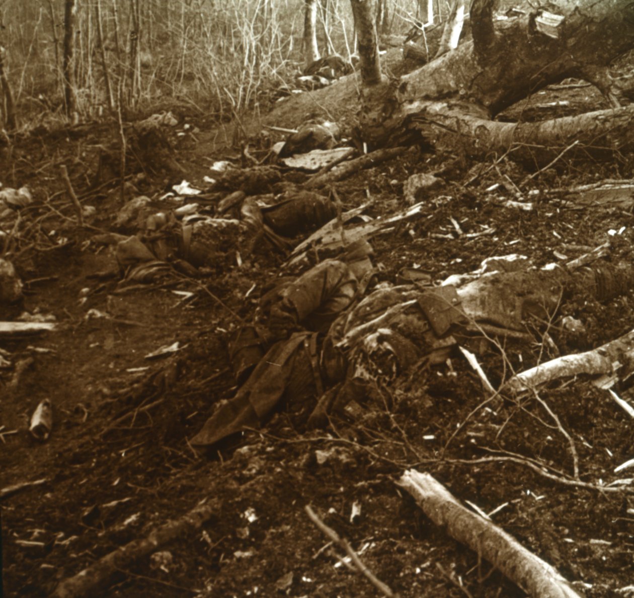 Bodies, Les Éparges, Észak-Franciaország, 1915. alkotó: Unbekannt