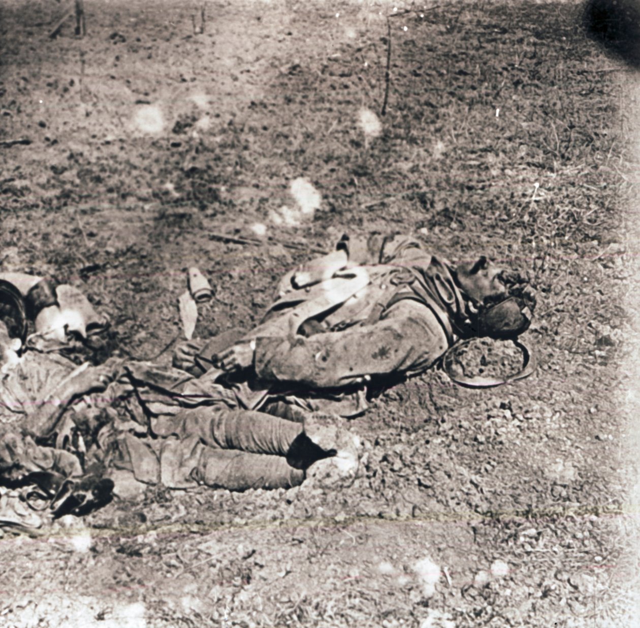Halott katonák holttestei, c1914-c1918 alkotó: Unbekannt