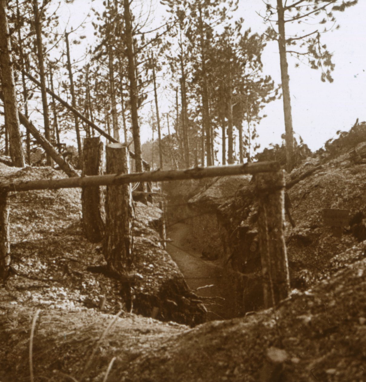 Bois-le-Prêtre, Észak-Franciaország, c1914-c1915 alkotó: Unbekannt