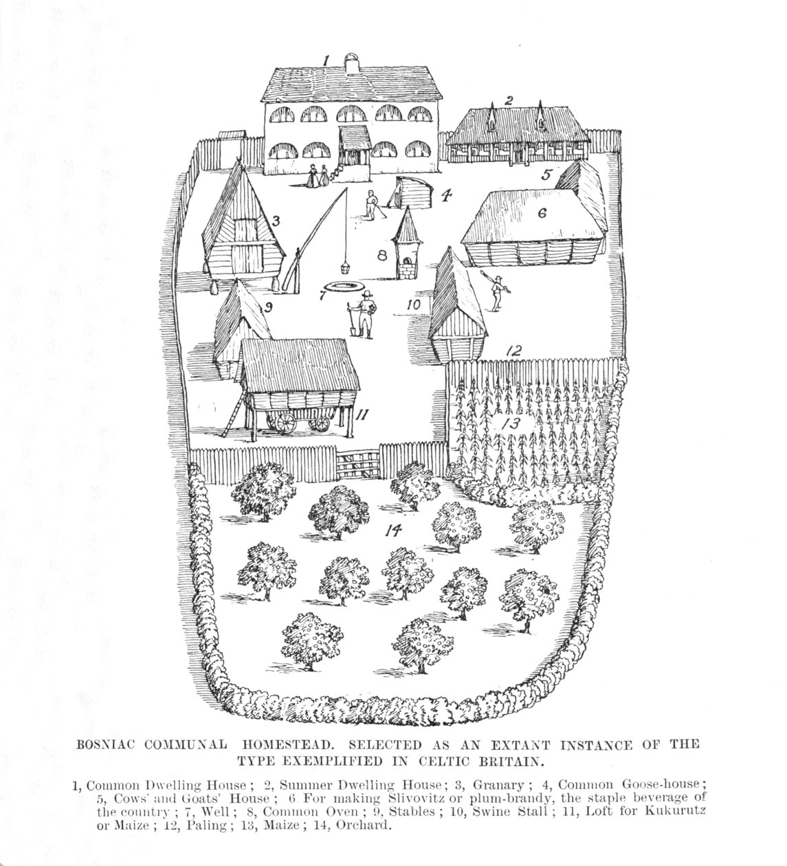 Bosnyák kommunális tanya, 1902. alkotó: Unbekannt