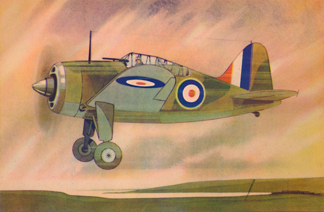 Brewster Buffalo Fighter Monoplane, c1944. alkotó: Unbekannt