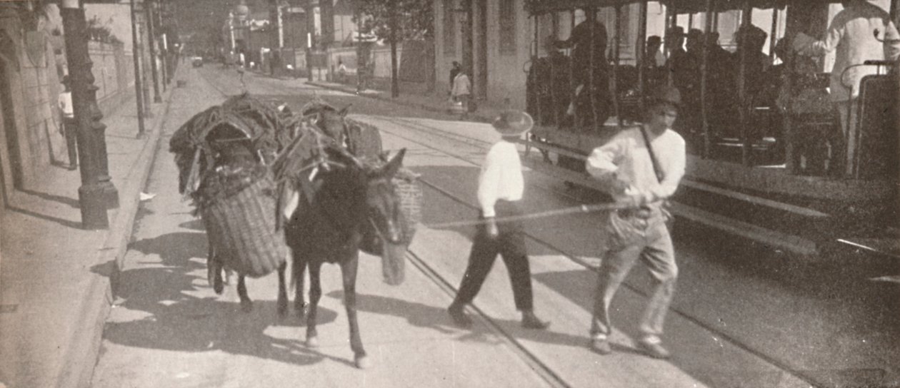 Villamossal és öszvérrel, 1914 alkotó: Unbekannt