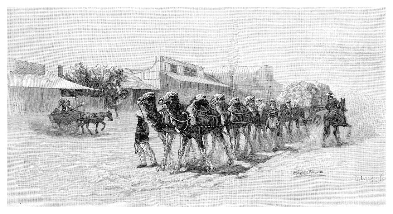 Tevecsapat, Wilcannia, Új-Dél-Wales, Ausztrália, 1886 alkotó: Unbekannt