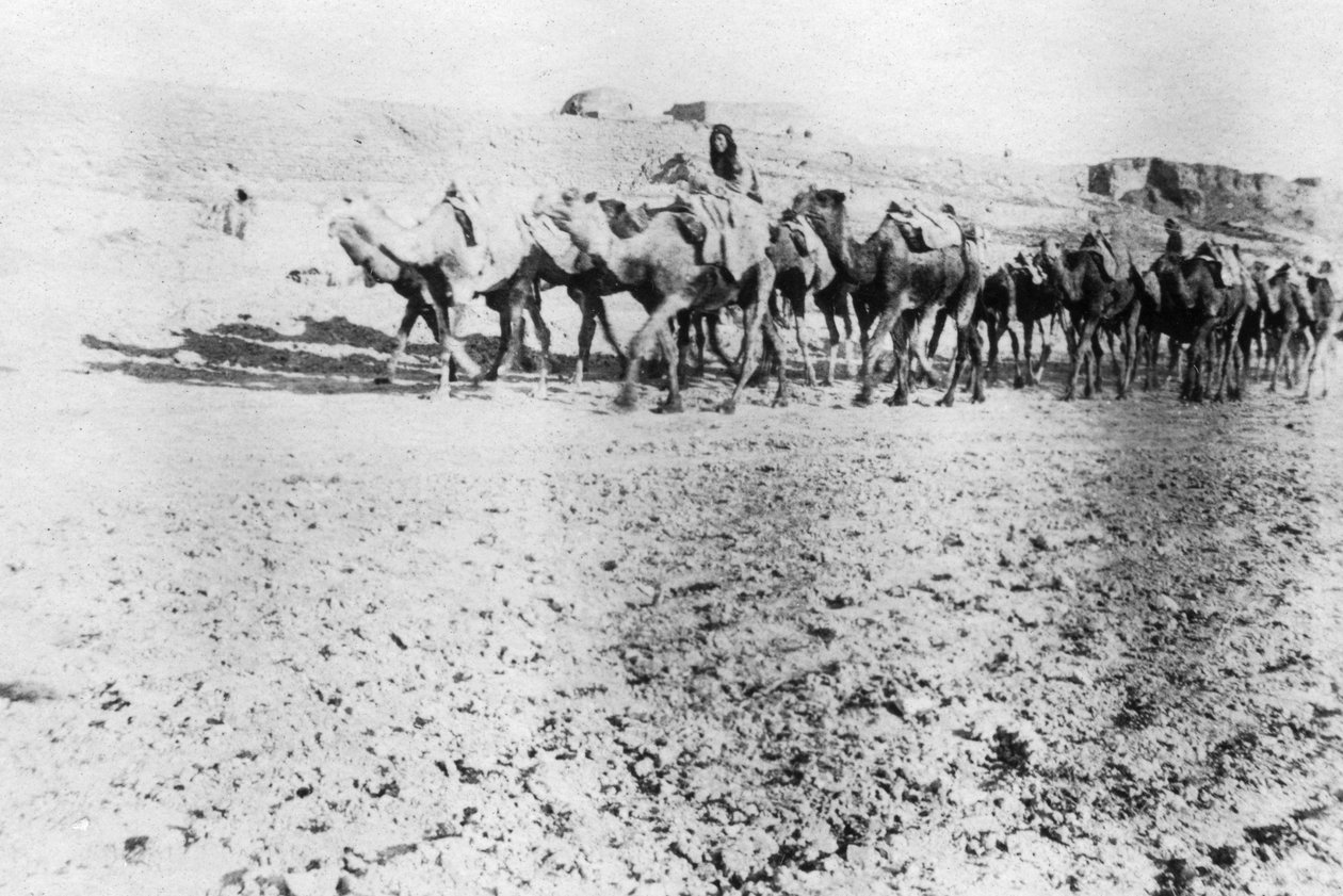 Tevevonat, Moszul, Mezopotámia, 1918 alkotó: Unbekannt