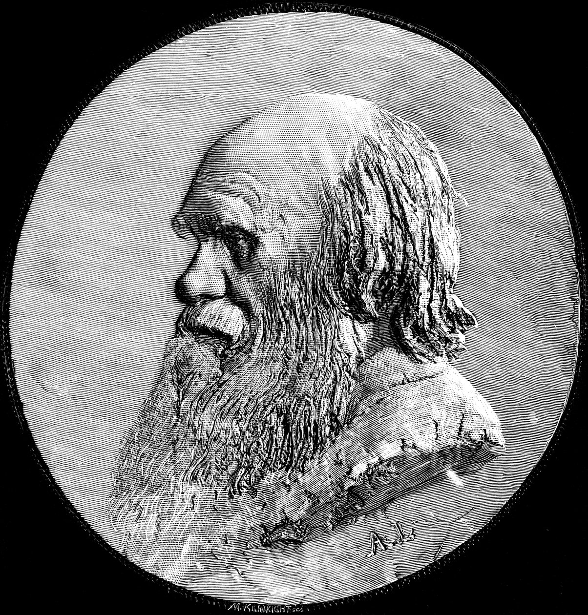 Charles Darwin, 1882 alkotó: Unbekannt