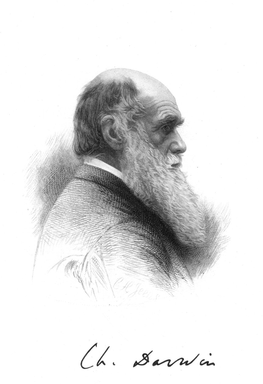 Charles Darwin angol természettudós, 1880 alkotó: Unbekannt