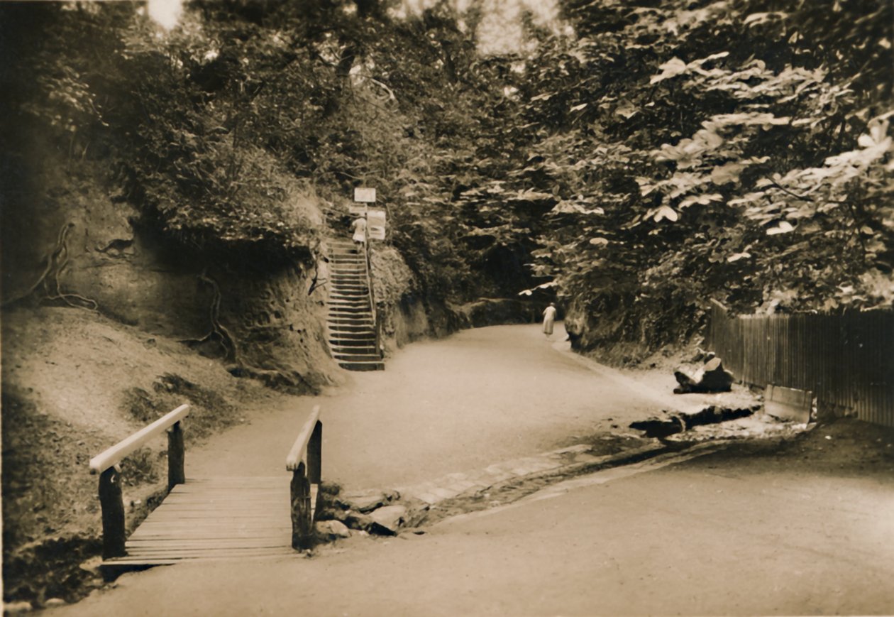 Chine Hollow, Shanklin, I.W., 1920. alkotó: Unbekannt