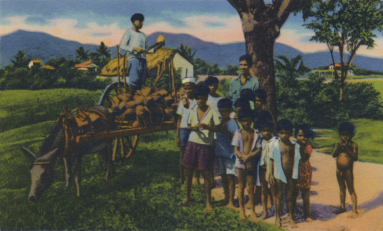 Coconut Vendor, Trinidad, B.W.I., 1940-es évek. alkotó: Unbekannt