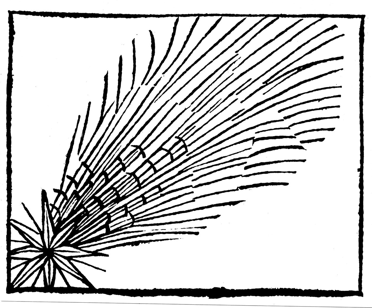 A 684-es Halley-üstökös, 1493 alkotó: Unbekannt