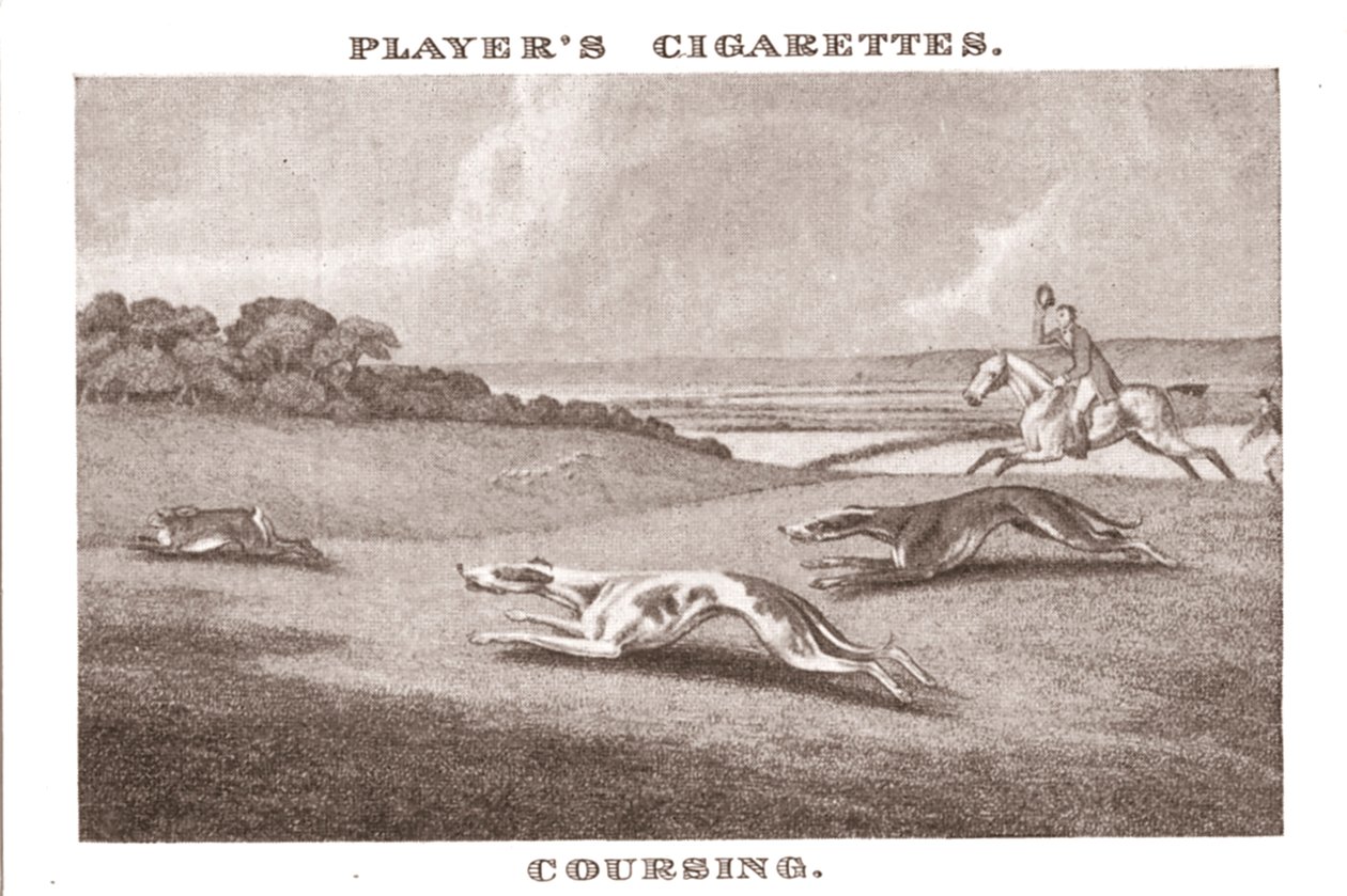 Coursing-11, 1924. alkotó: Unbekannt